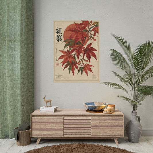 Japanese Maple Botanical Study Art Print / Poster | Red Herbarium