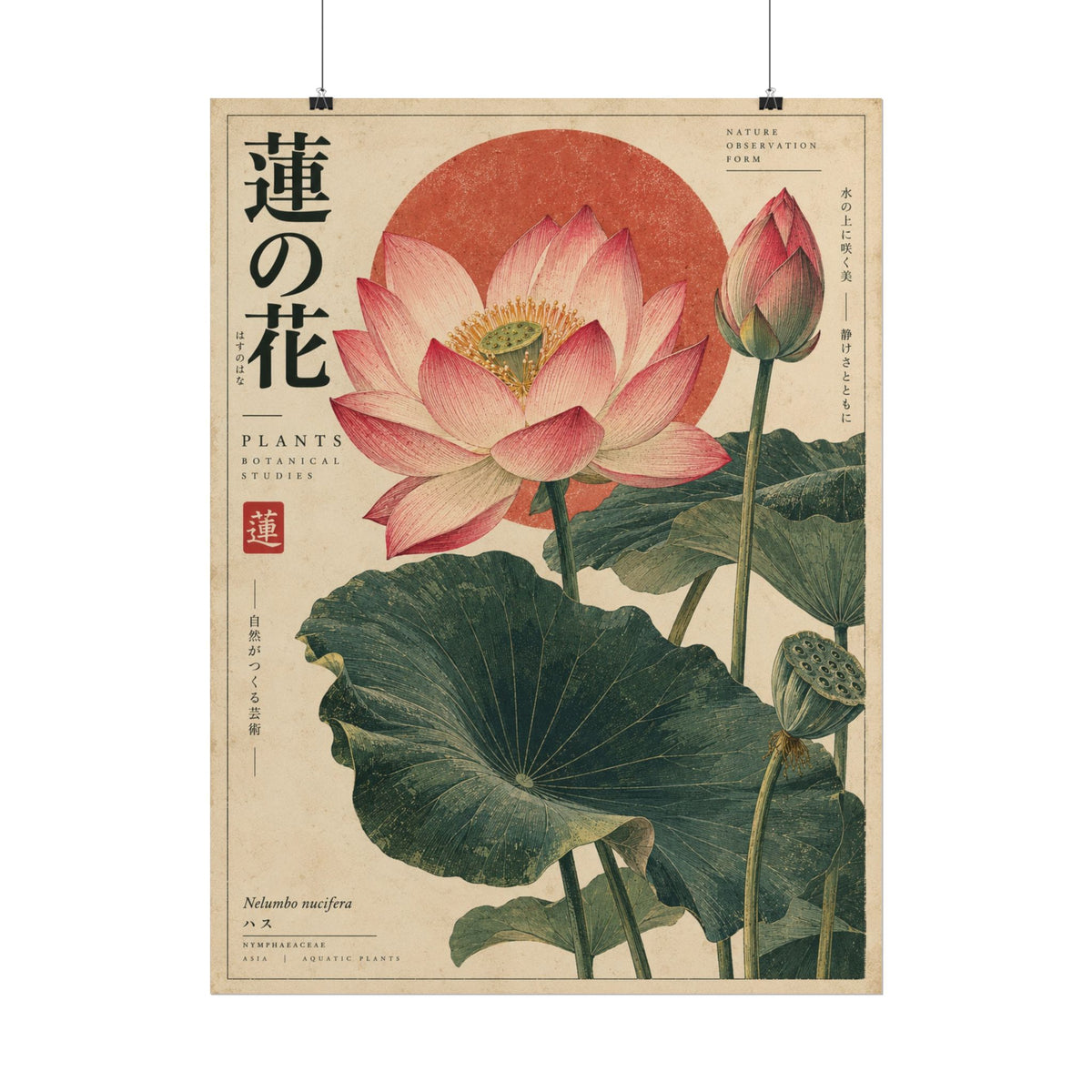 Japanese Lotus Botanical Study Wall Art | Red Herbarium