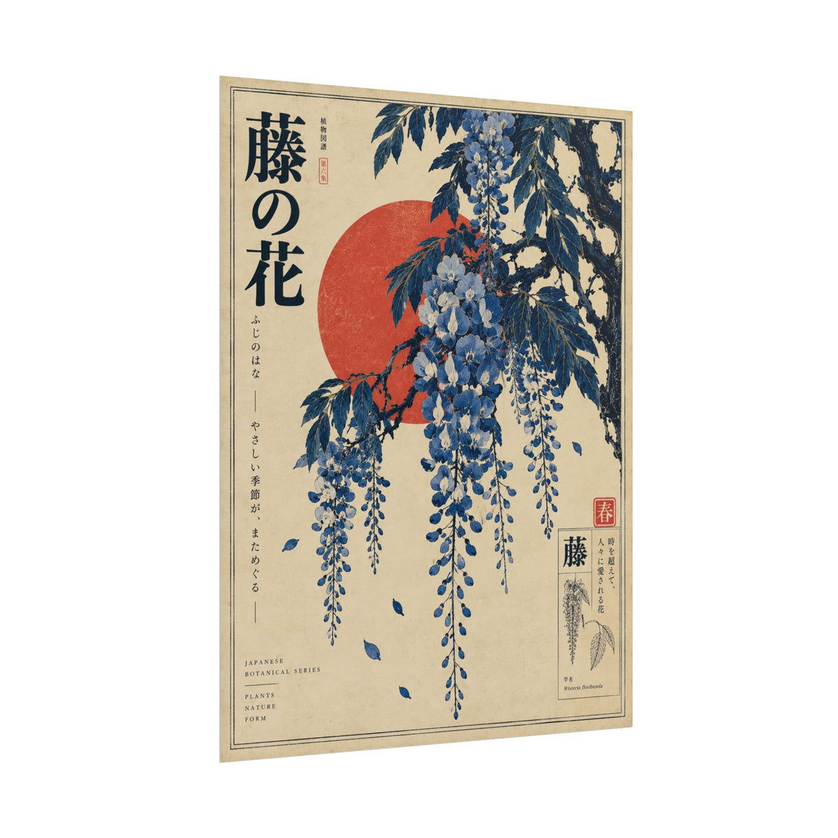 Wisteria Blossoms Japanese Art Print | Blue Herbarium
