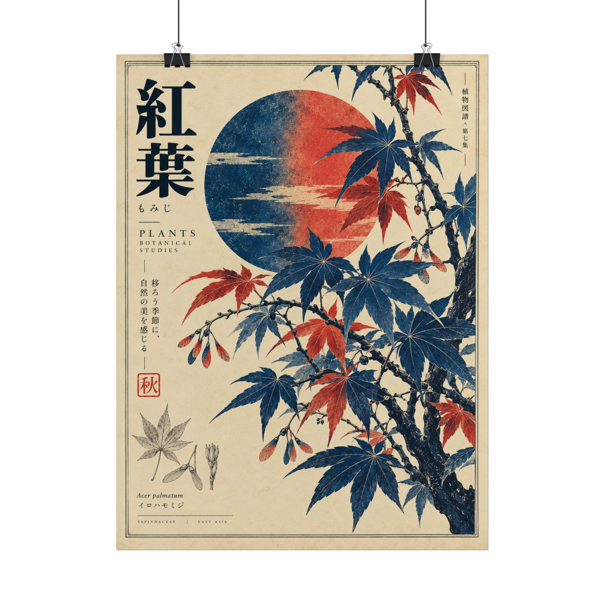 Japanese Maple Art Print | Blue Herbarium