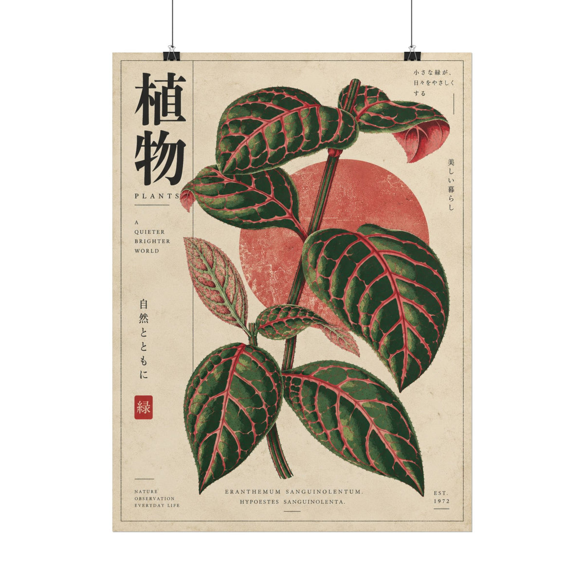 Fittonia Botanical Study Wall Art | Red Herbarium