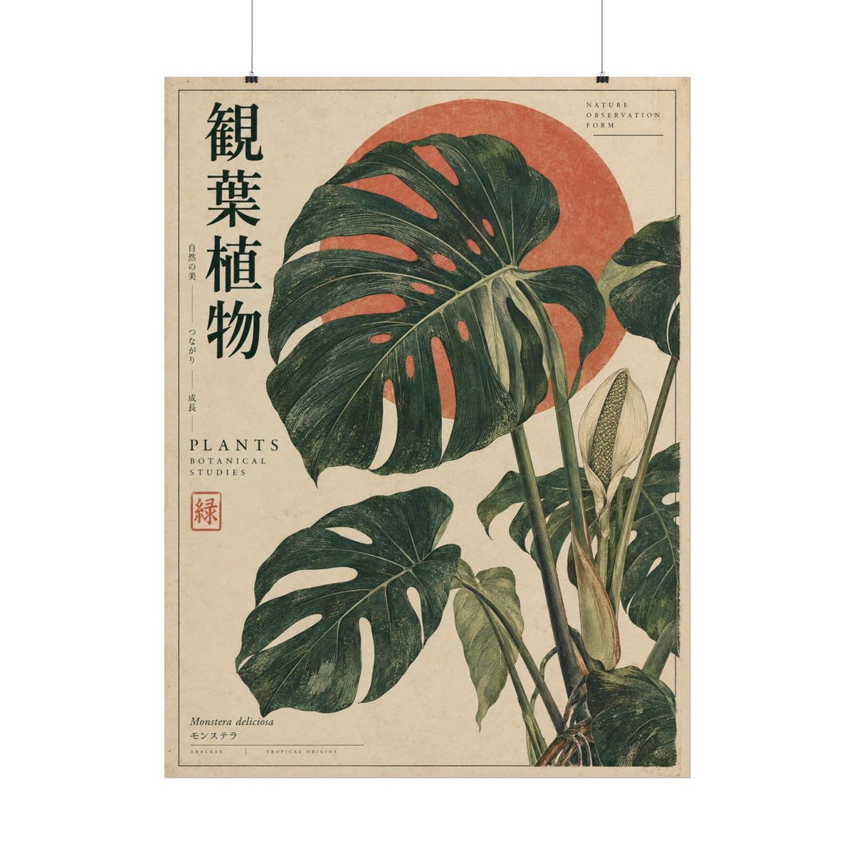 Monstera Botanical Study Art Print | Red Herbarium