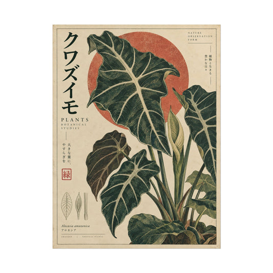 Alocasia Botanical Study Art Print / Poster | Red Herbarium