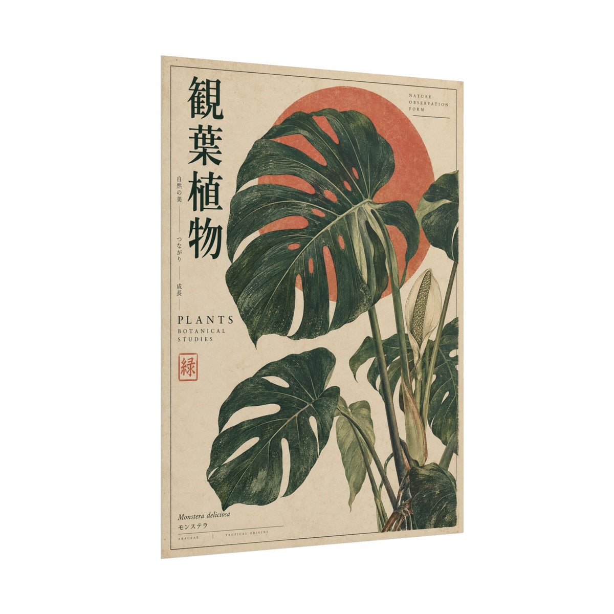 Monstera Botanical Study Art Print | Red Herbarium