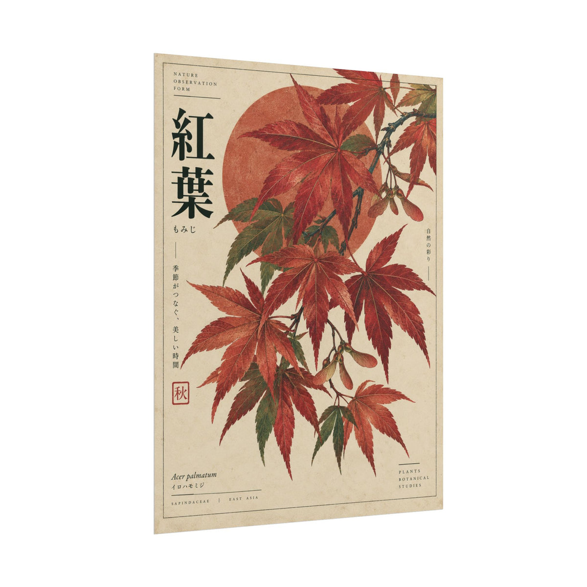 Japanese Maple Botanical Study Art Print | Red Herbarium