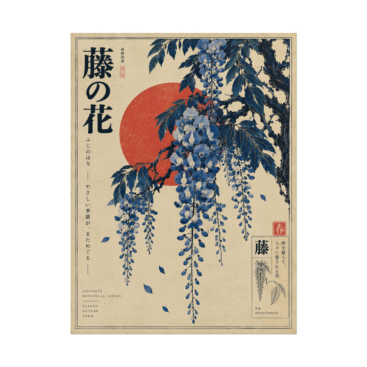 Wisteria Blossoms Japanese Art Print | Blue Herbarium