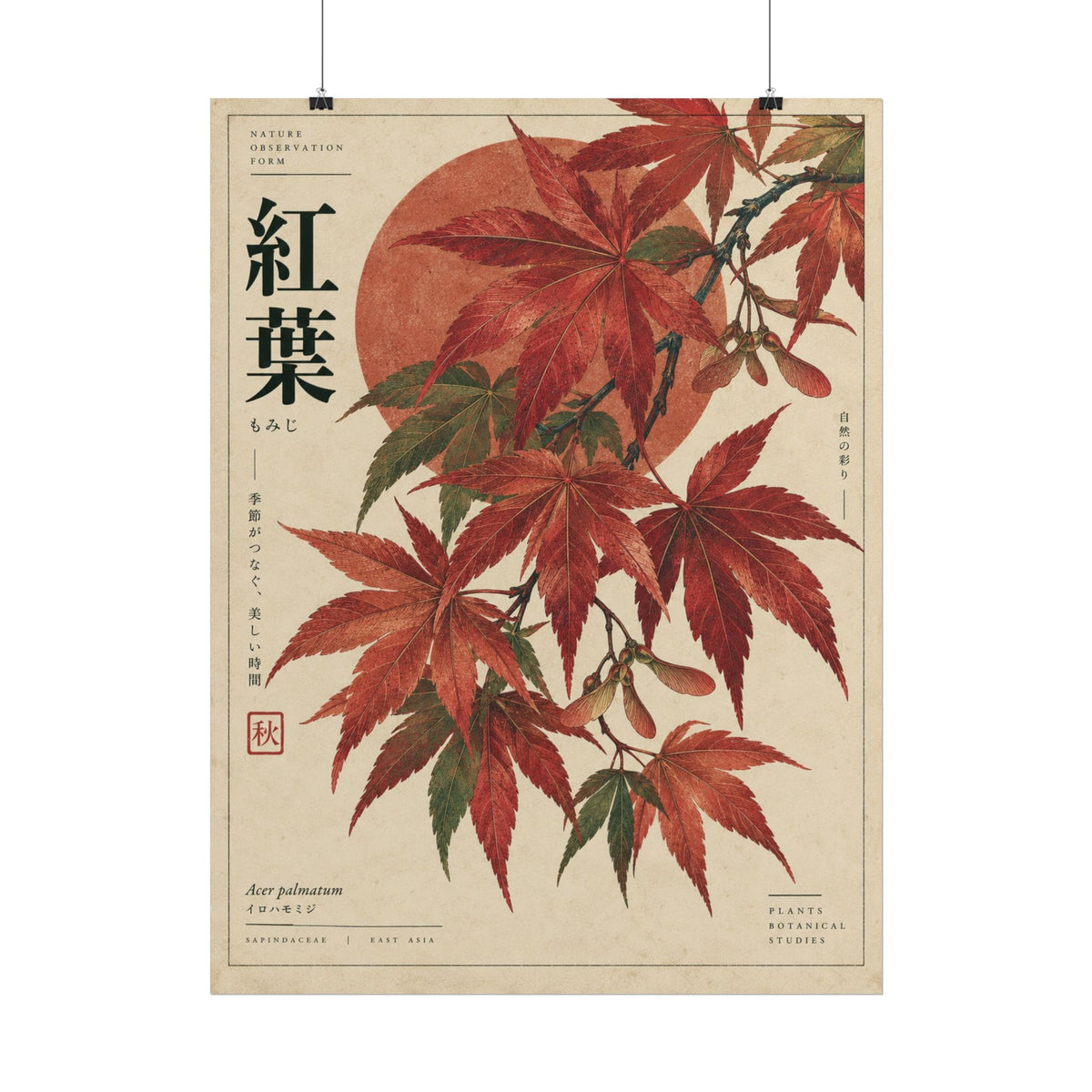 Japanese Maple Botanical Study Art Print | Red Herbarium