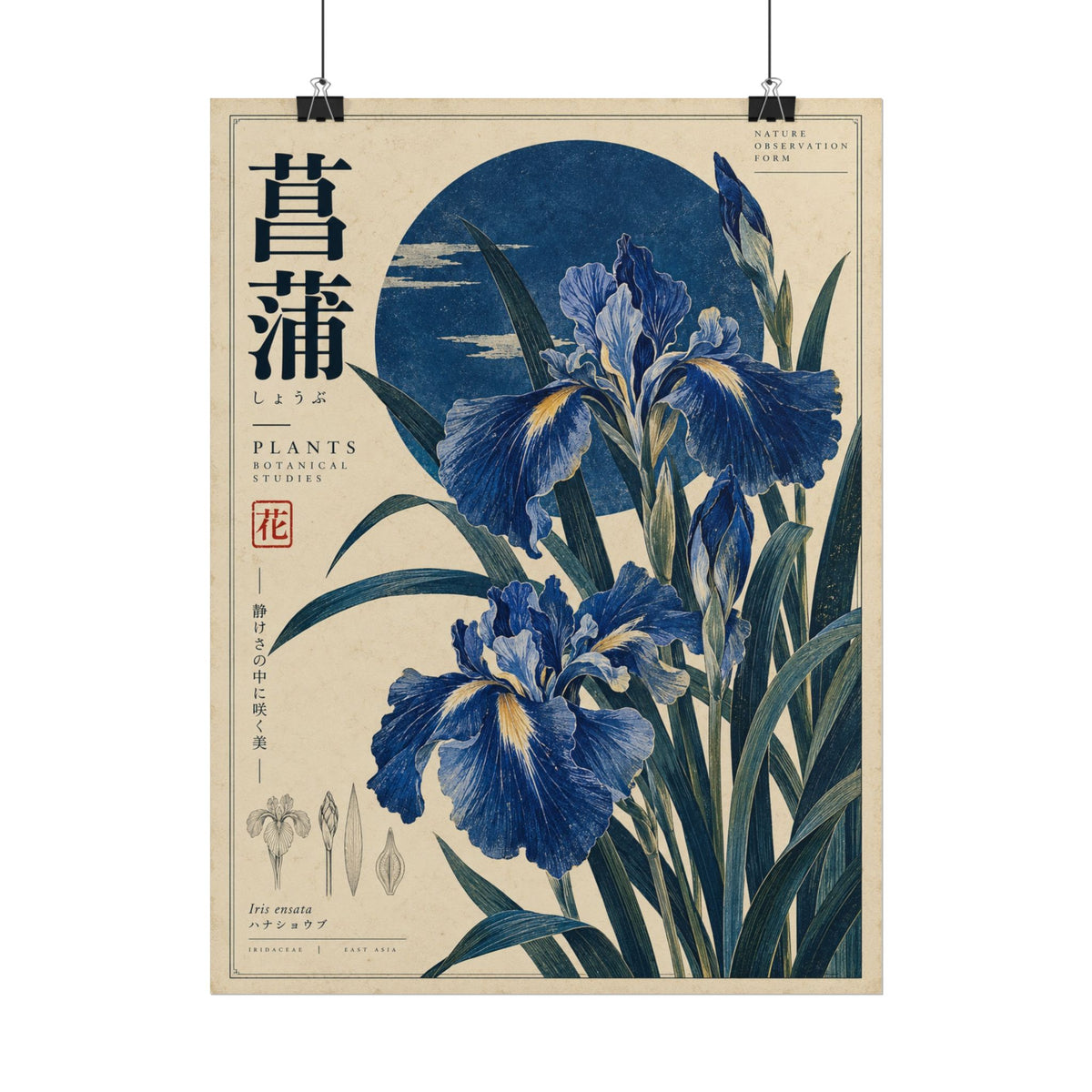 Blue Iris Botanical Art Print | Blue Herbarium