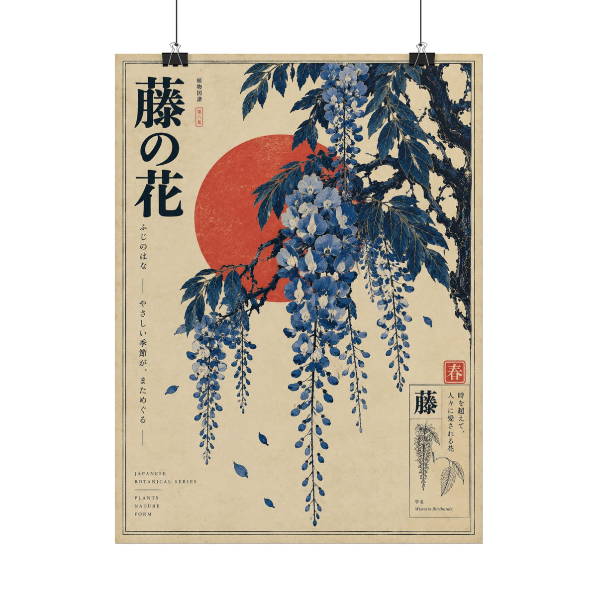 Wisteria Blossoms Japanese Art Print | Blue Herbarium