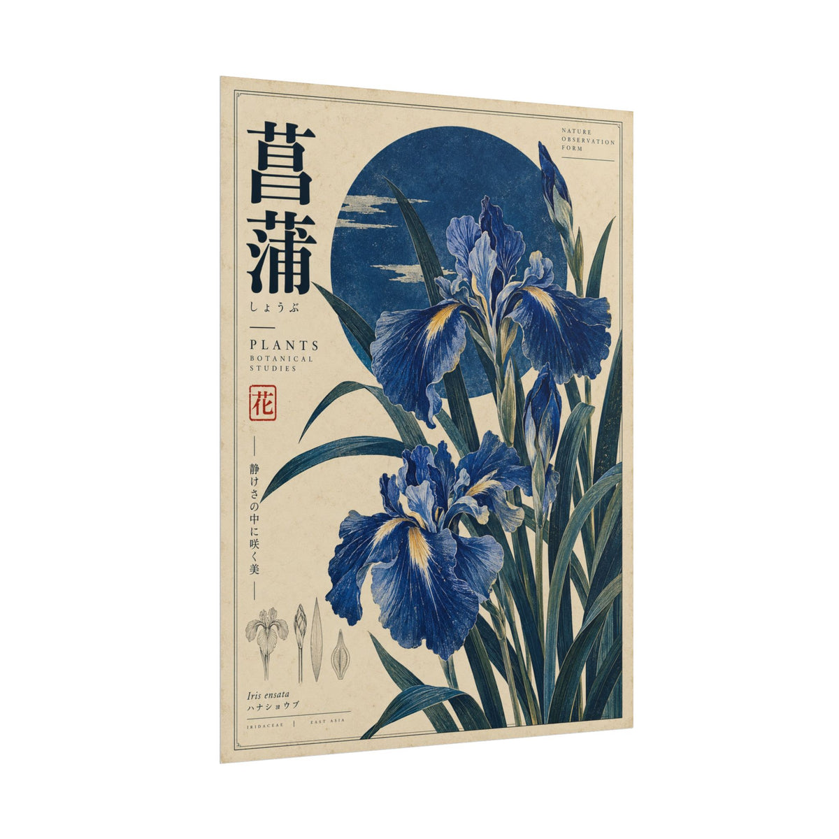 Blue Iris Botanical Art Print | Blue Herbarium