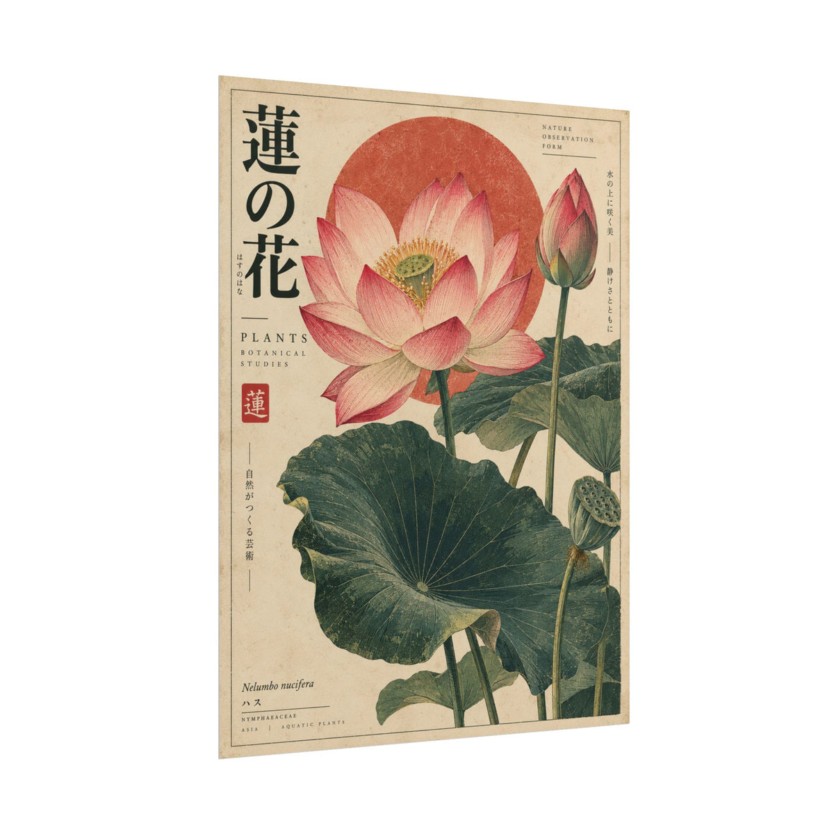 Japanese Lotus Botanical Study Wall Art | Red Herbarium