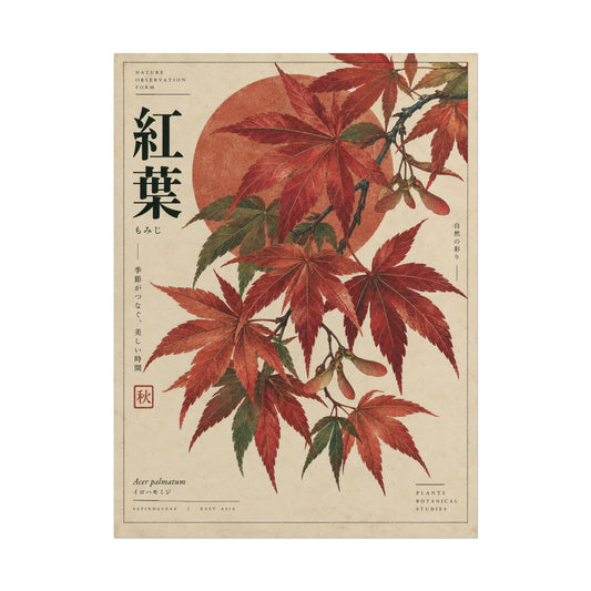 Japanese Maple Botanical Study Art Print / Poster | Red Herbarium