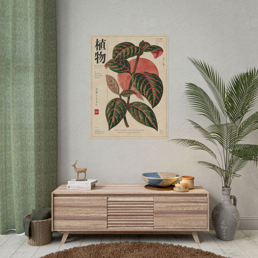 Fittonia Botanical Study Rolled Poster | Botanical Atelier Wall Art