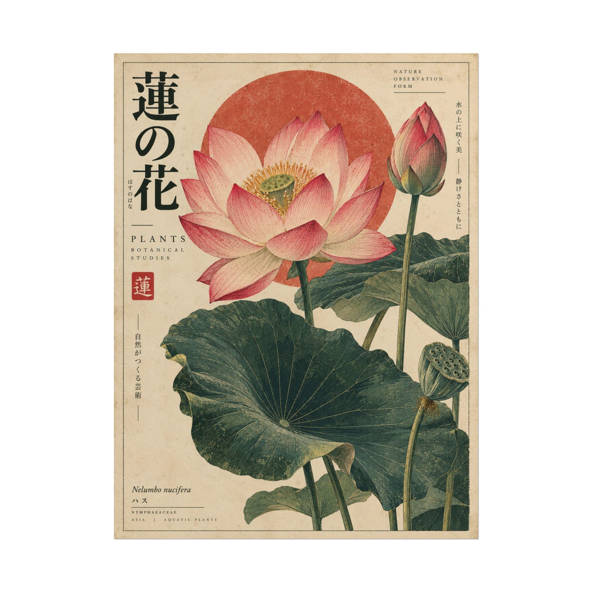 Japanese Lotus Botanical Study Wall Art | Red Herbarium