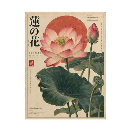 Japanese Lotus Botanical Study Art Print / Poster | Red Herbarium