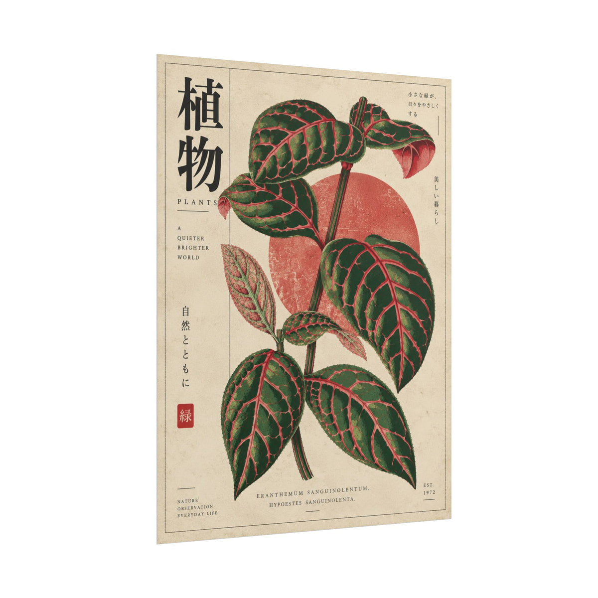 Fittonia Botanical Study Wall Art | Red Herbarium